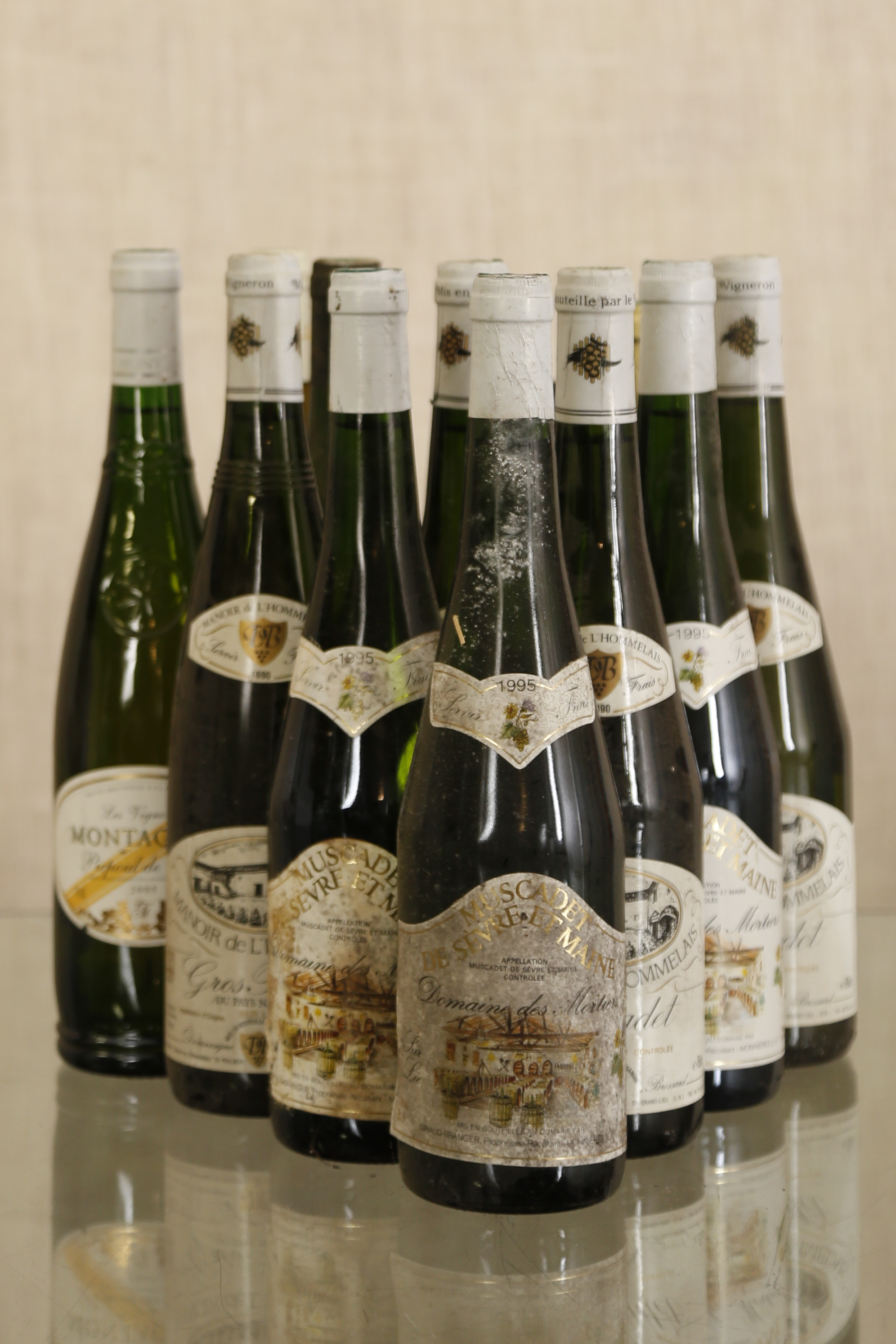 Muscadet 12 bouteilles