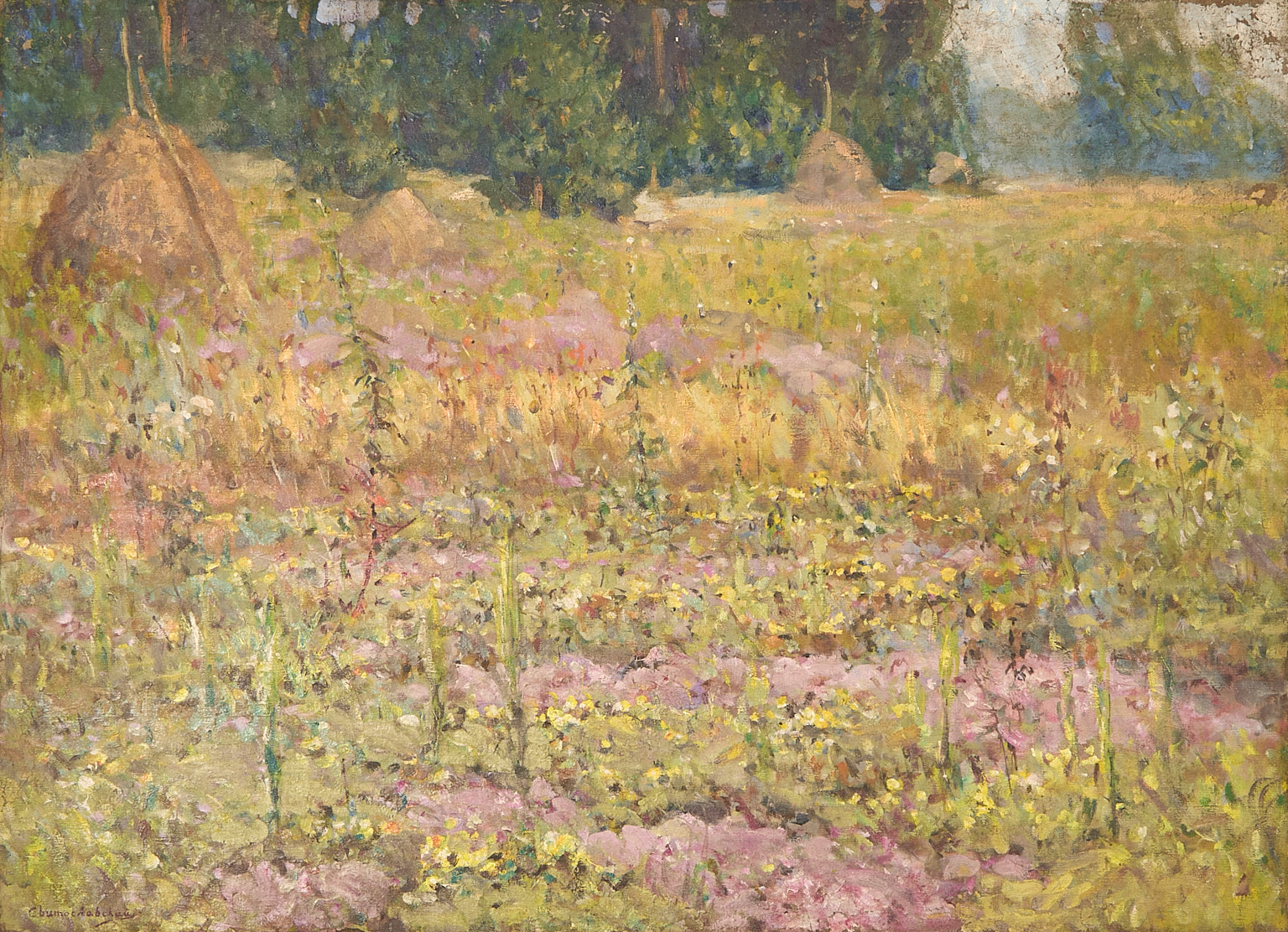Paysage