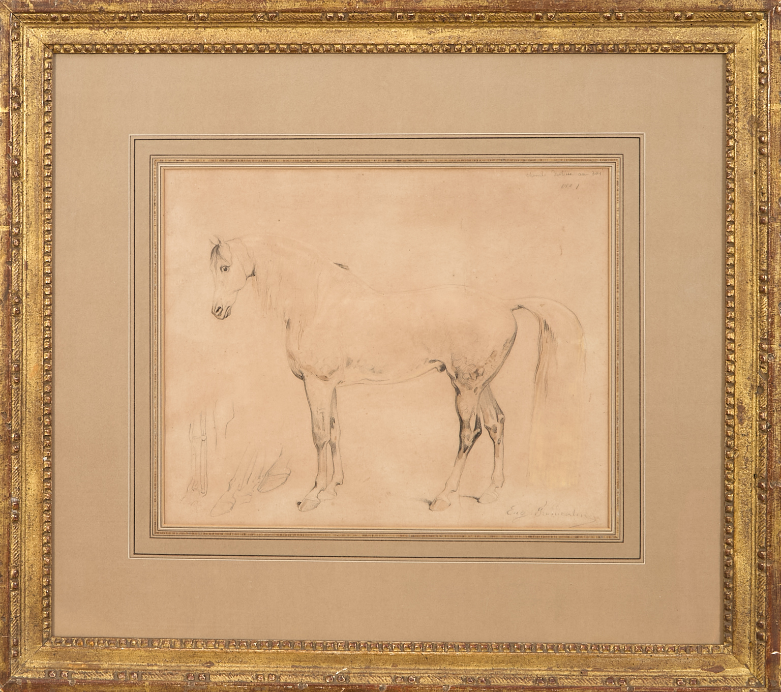 Etude de cheval