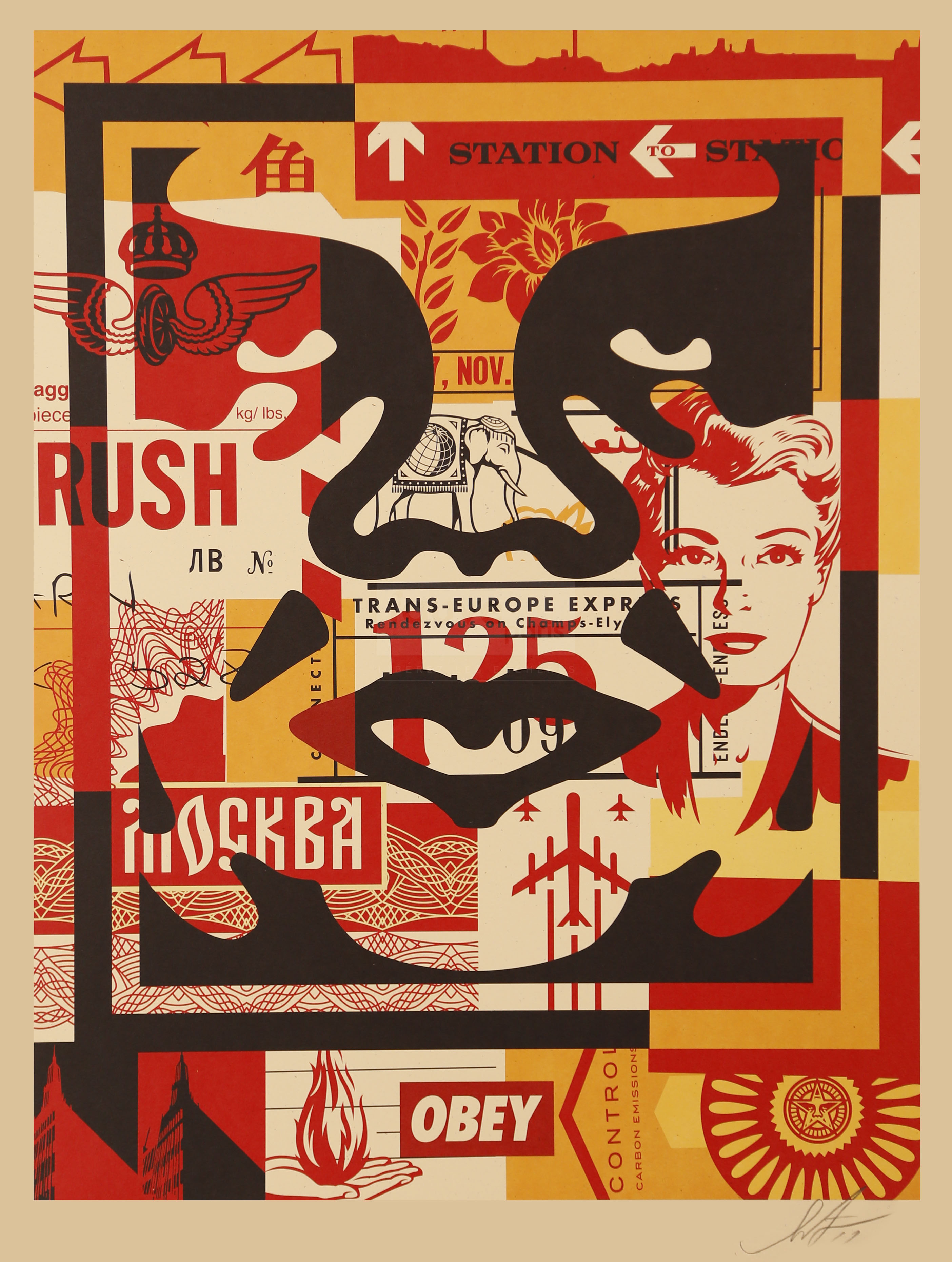 Shepard Fairey (né en 1970)