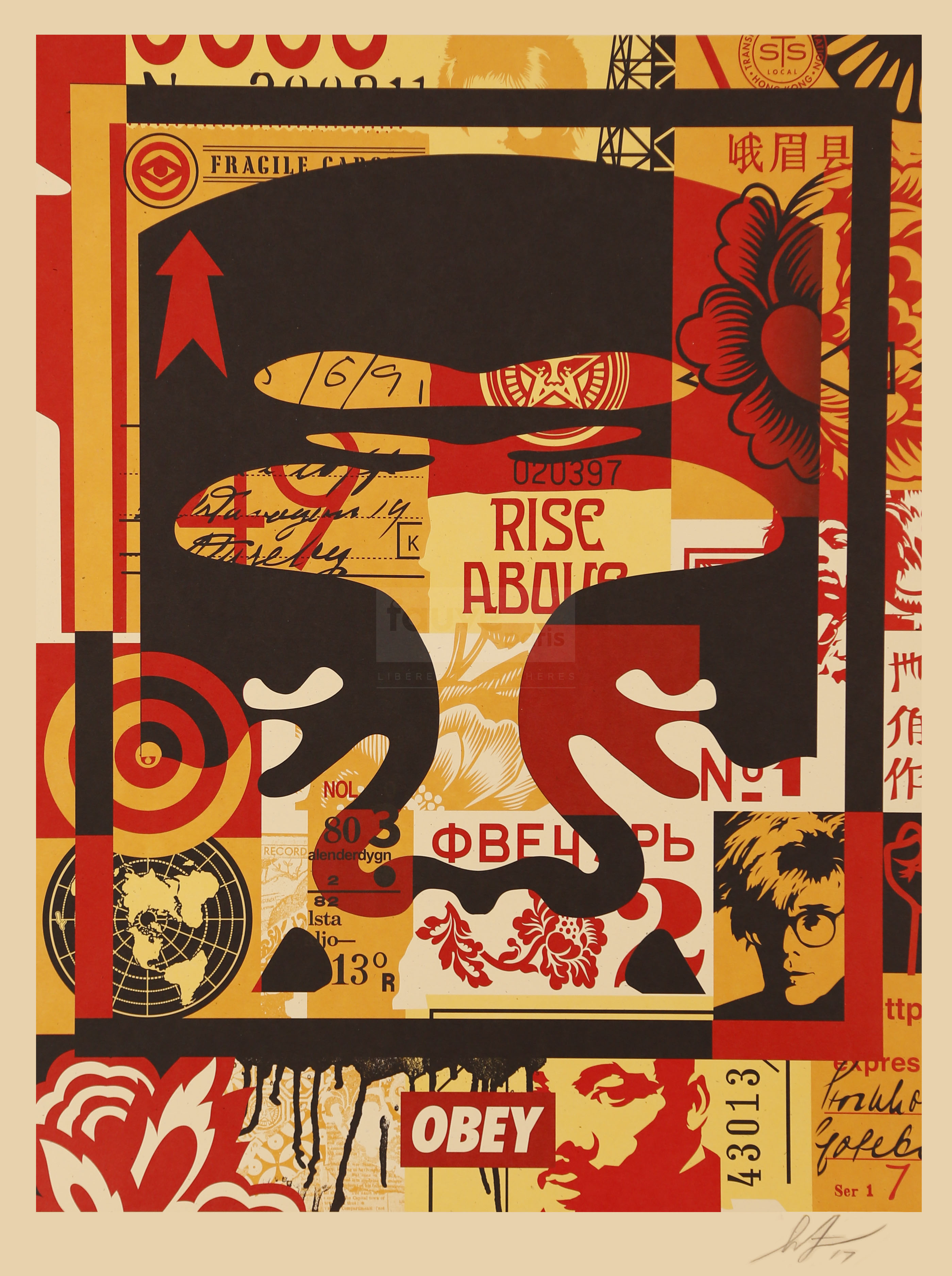 Shepard Fairey (né en 1970)