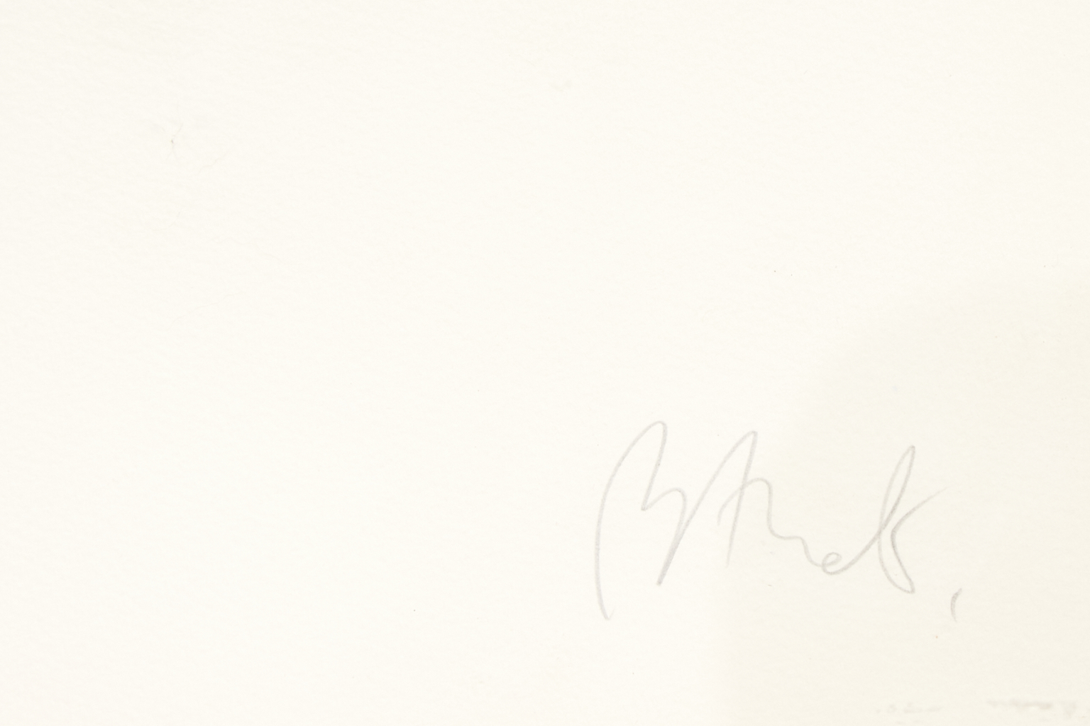 Miquel Barcelo (né en 1957)