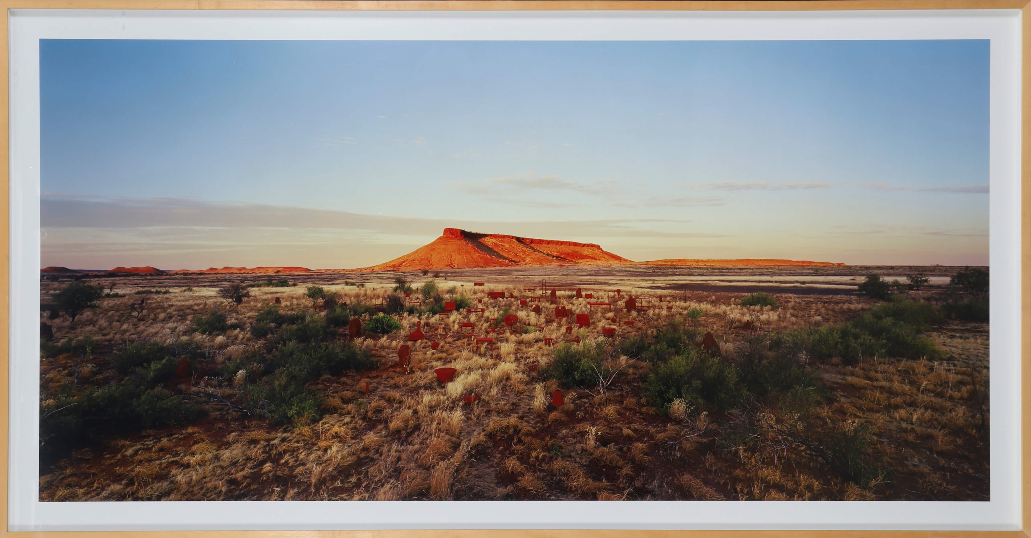 Rosemary Laing (née en 1959) Brumby Mound #6