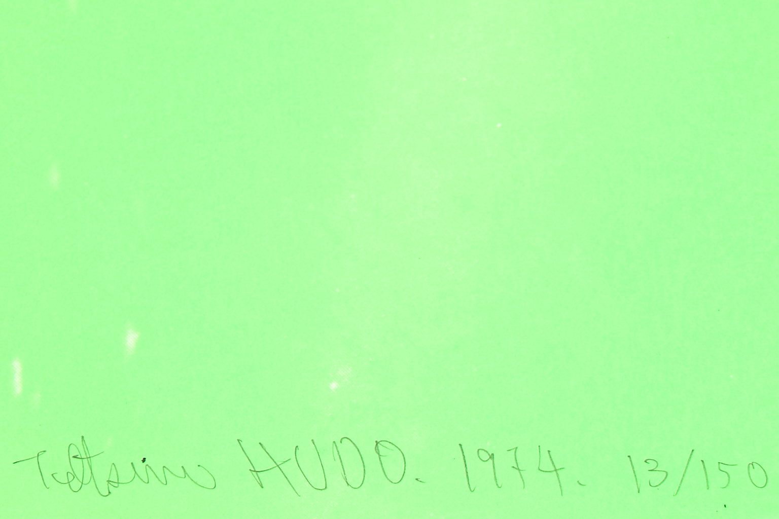 Tetsumi Kudo (1935-1990)*