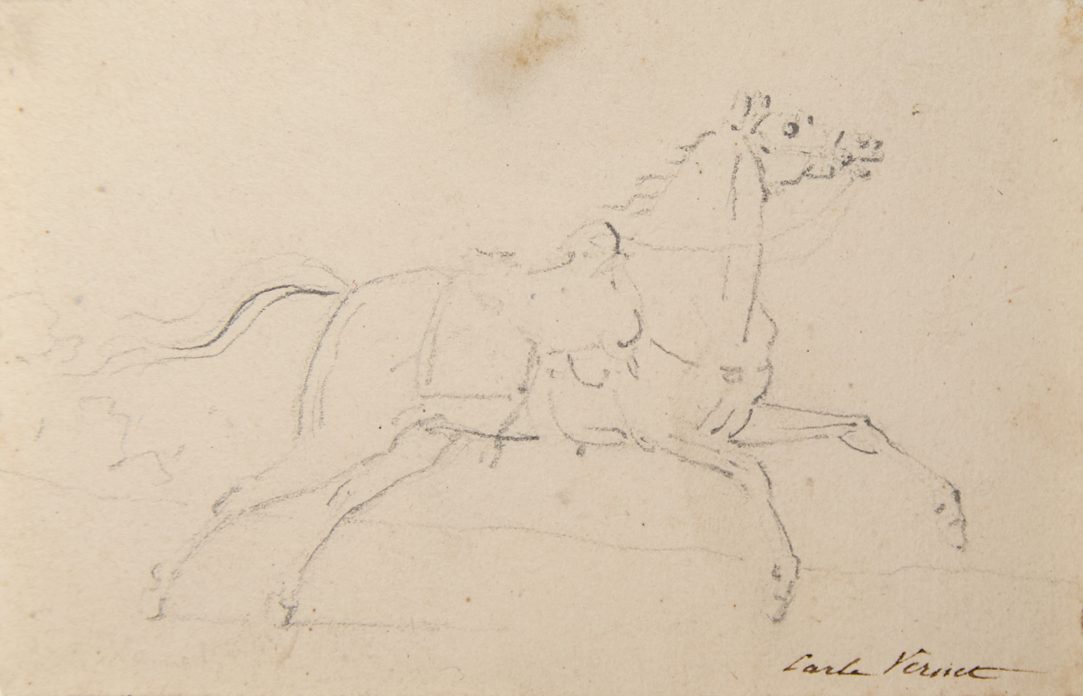 Cheval au galop
