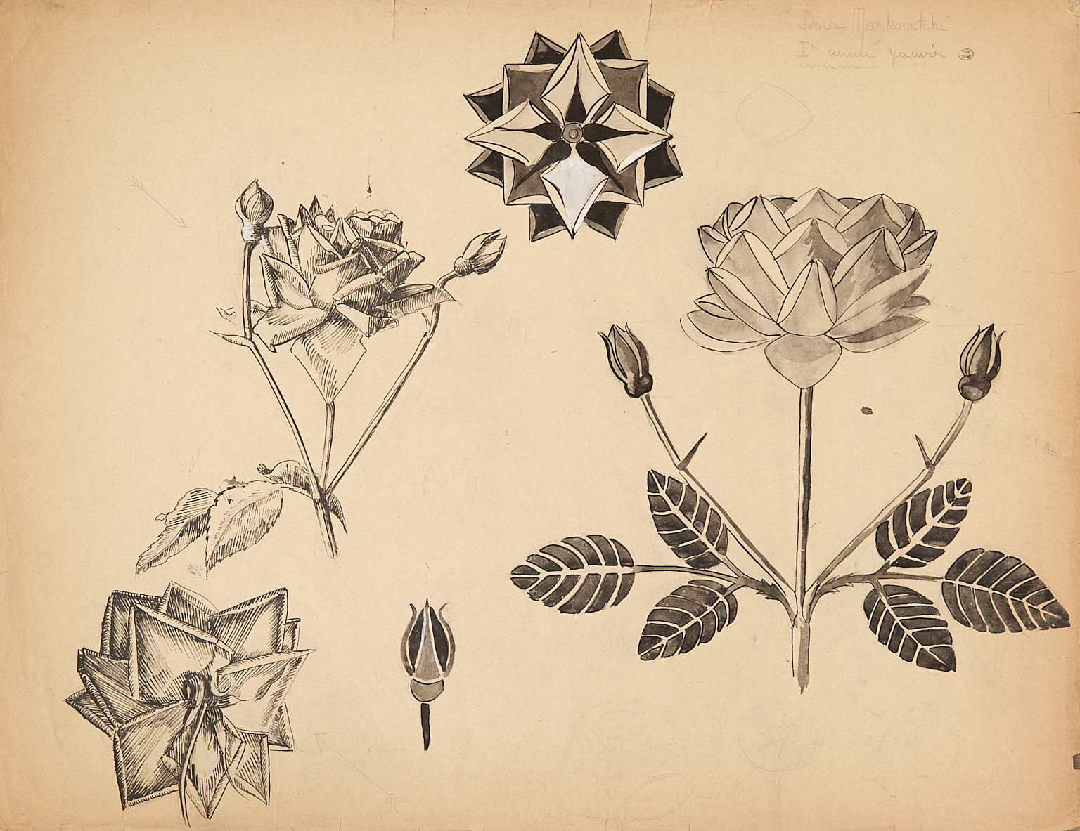 Dora Maar (1907-1997) Étude de fleurs