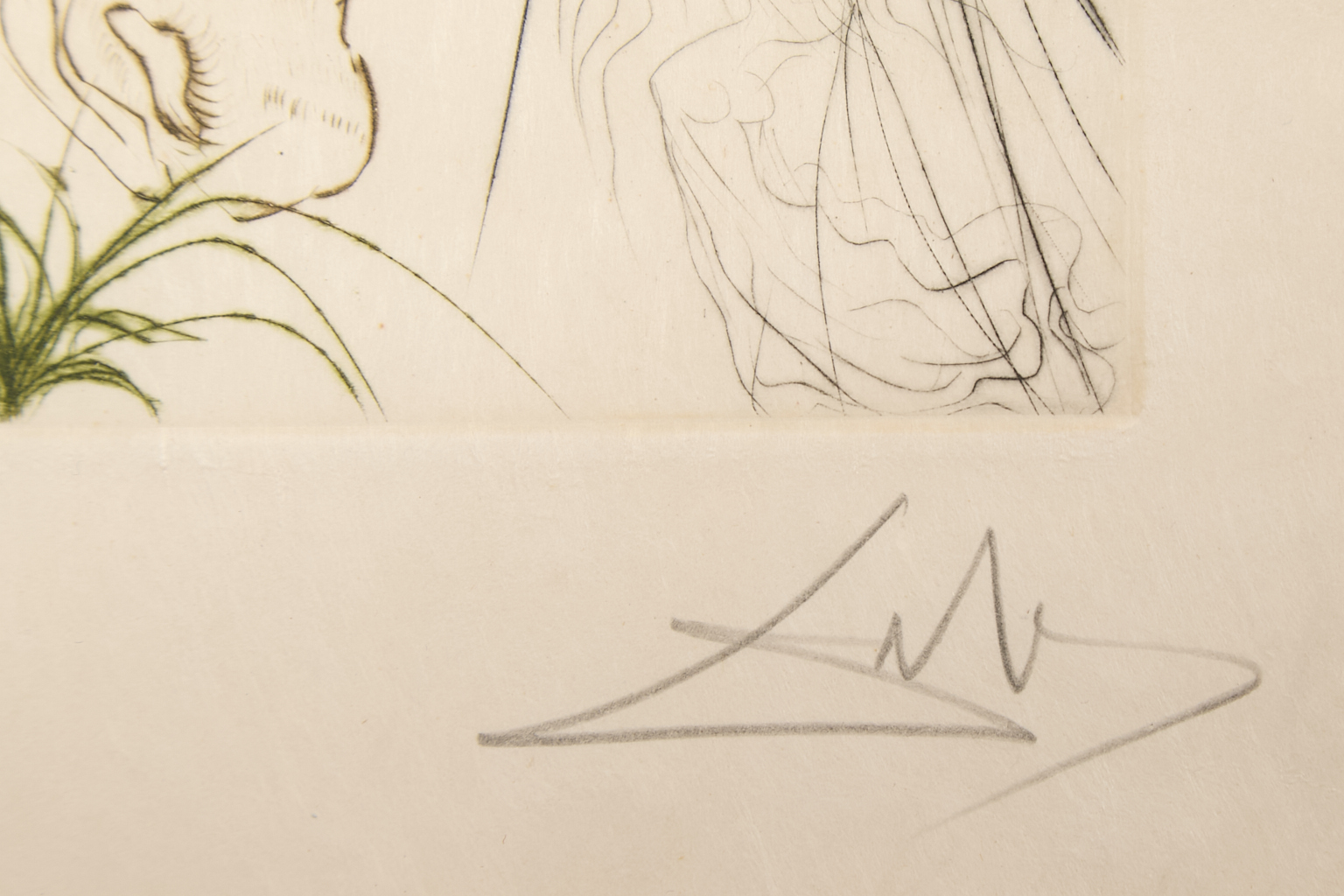 Salvador Dalí (1904-1989)