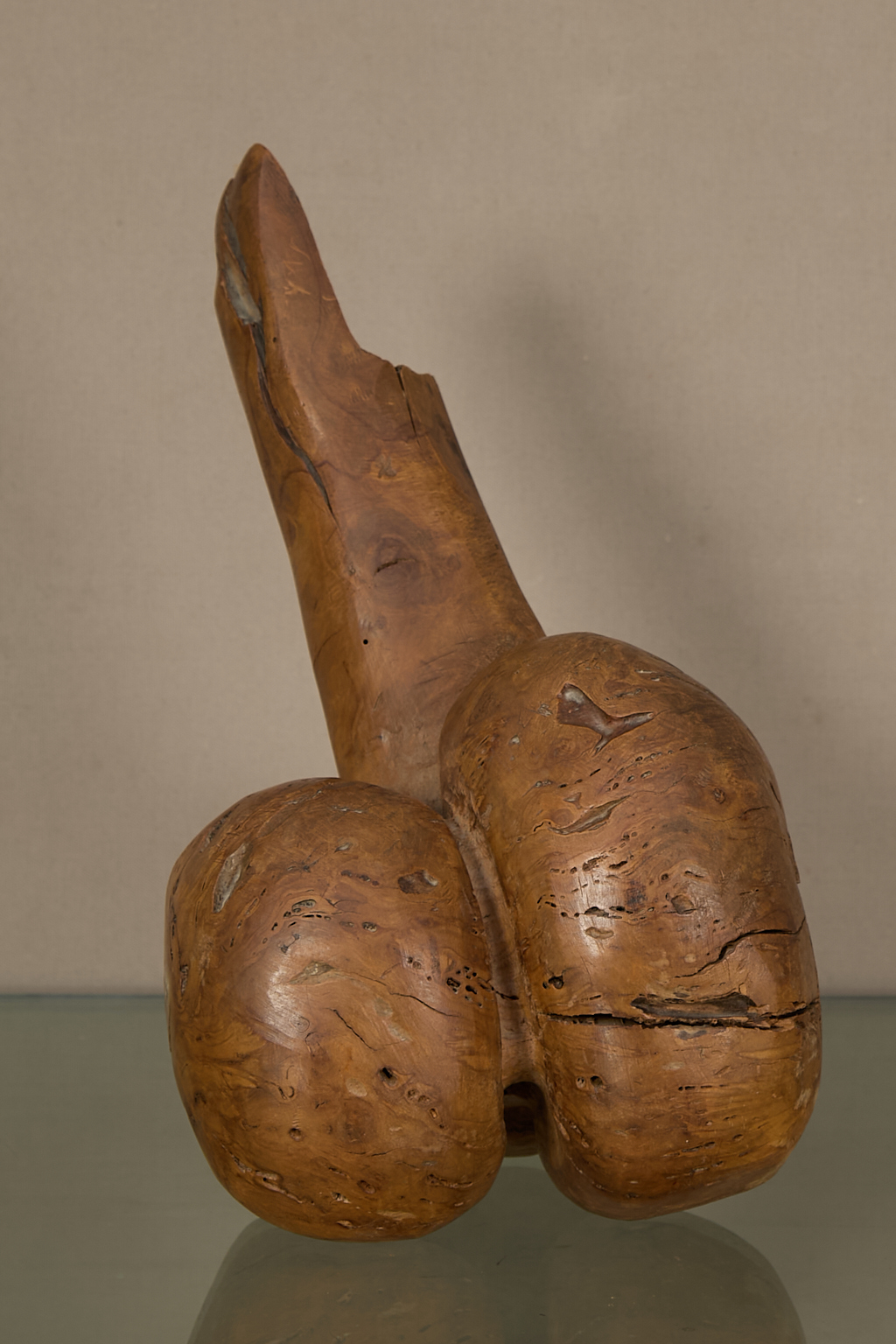 Etienne Martin (1913-1995)