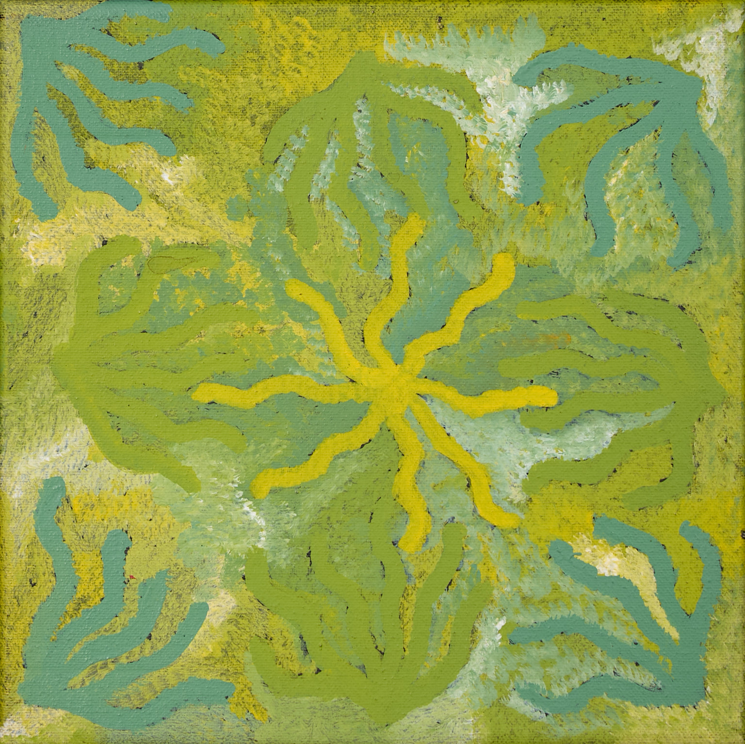 Jannelle Stockman Napaltjarri (Arrernte) (1980-2009)