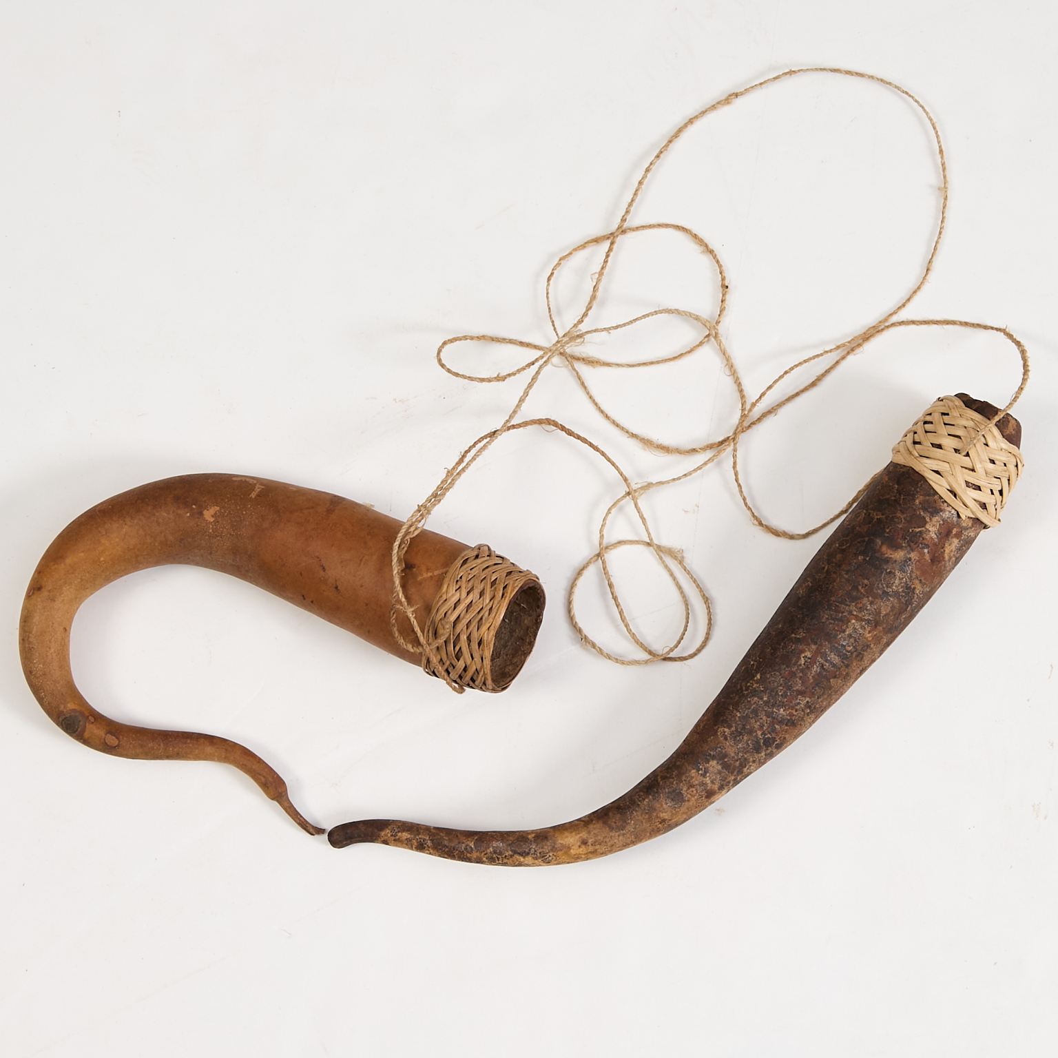 2 étuis péniens papous (koteka)