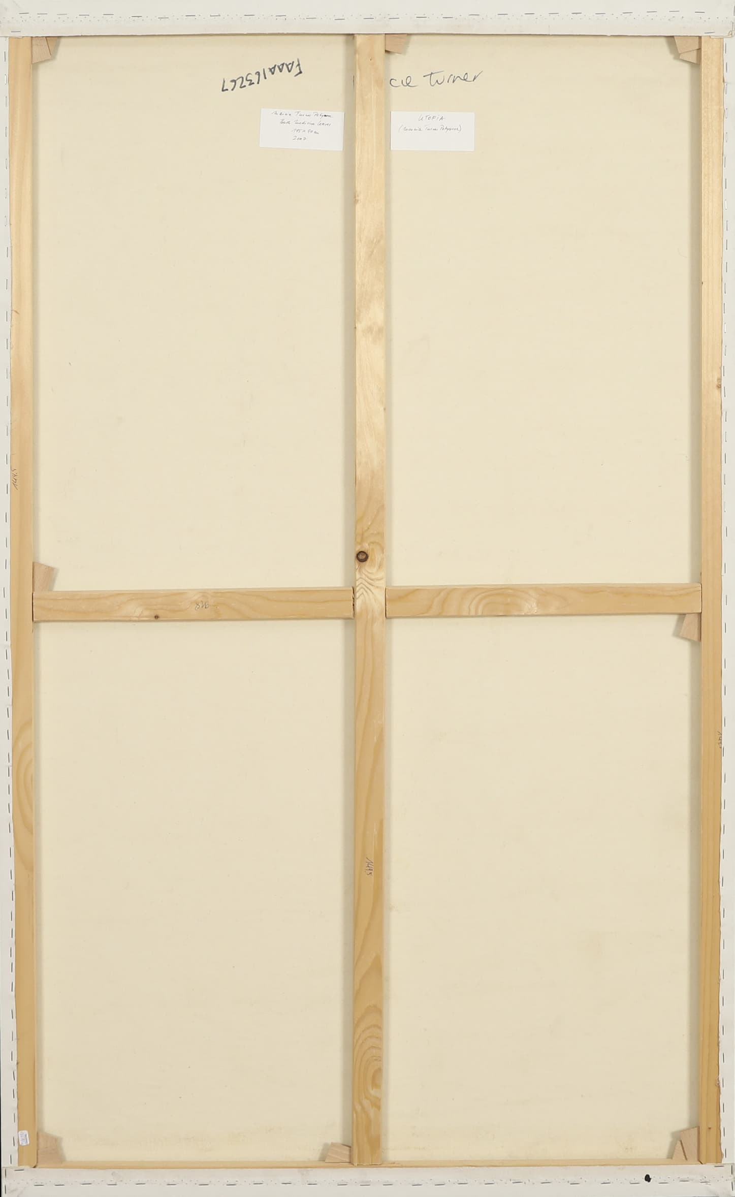 Marcie Turner Petyerre (Anmatyerre) (née en 1973)