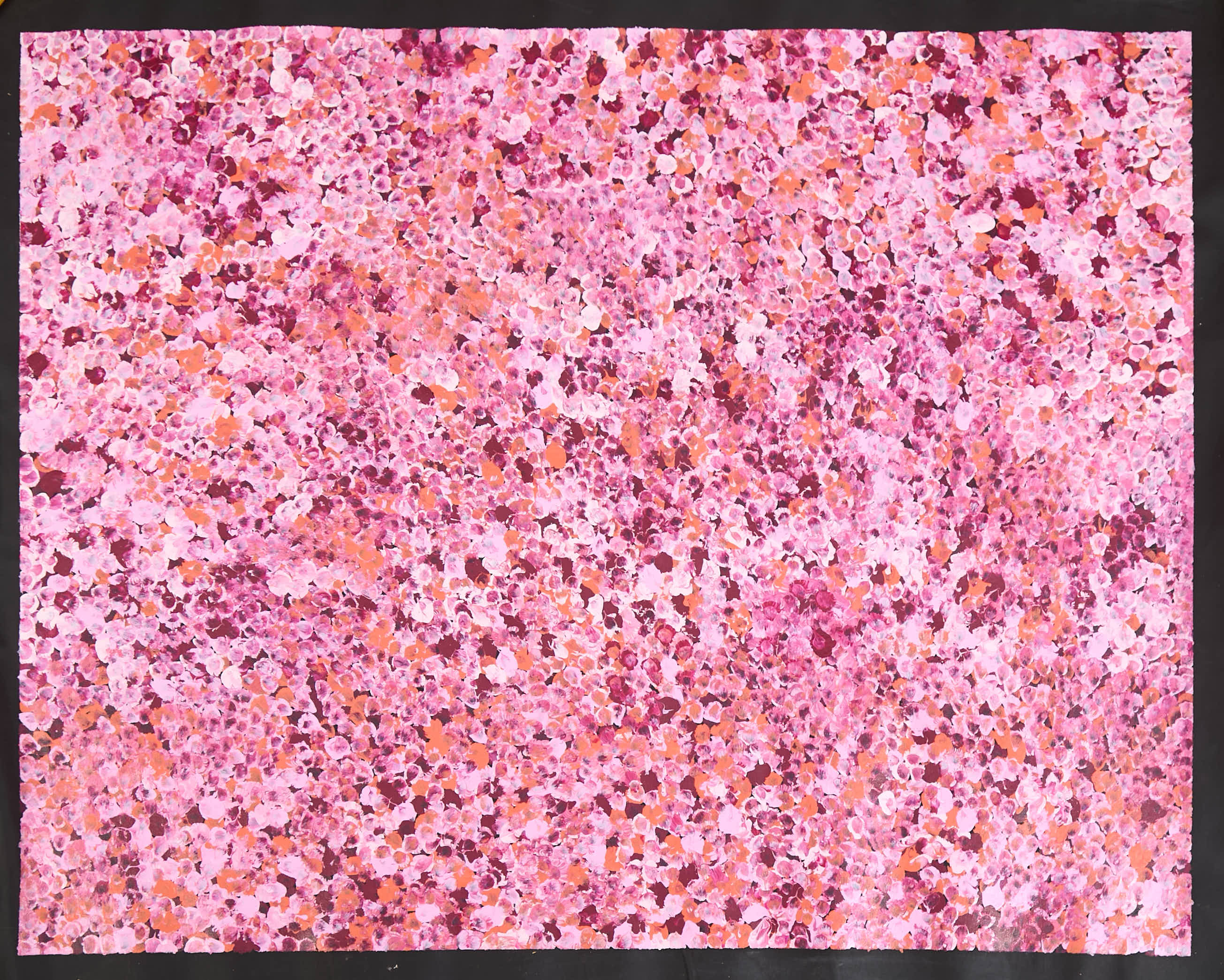 Anwekety (Conkerberry) Bush Plum / La prune de la brousse