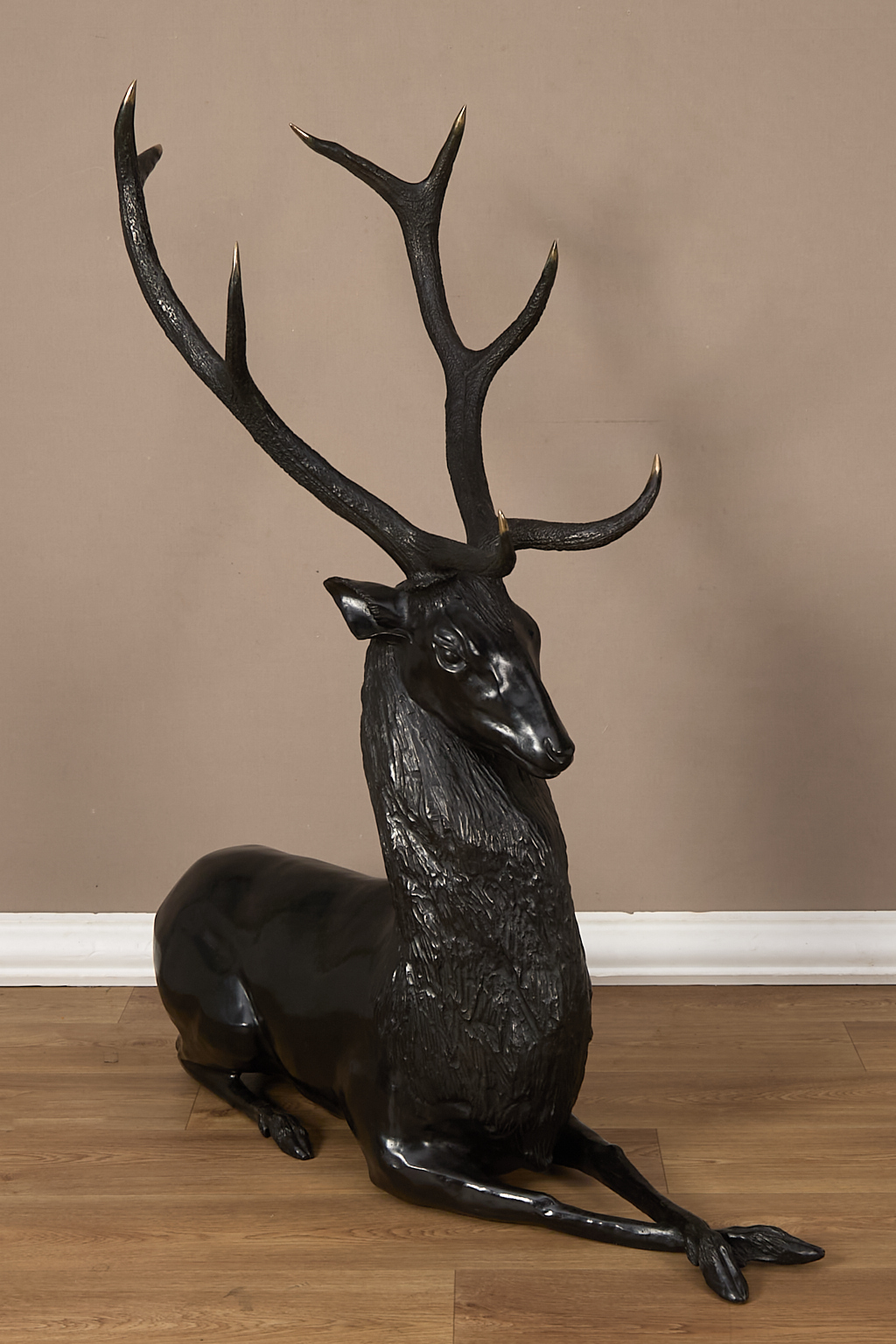 Cerf couché