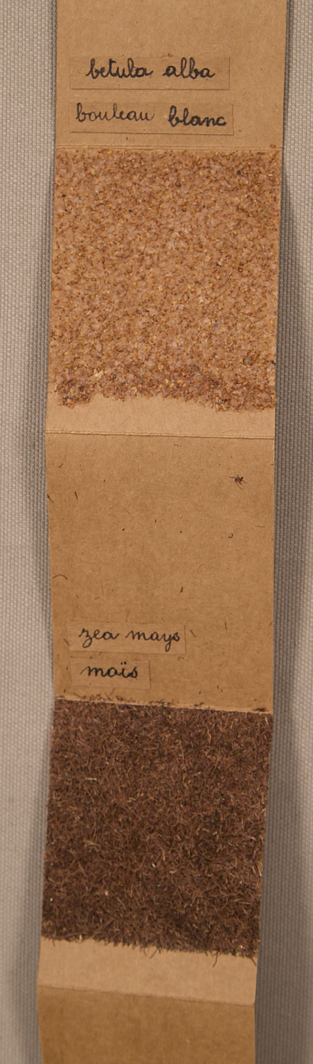 Marinette Cueco (1934-2023)