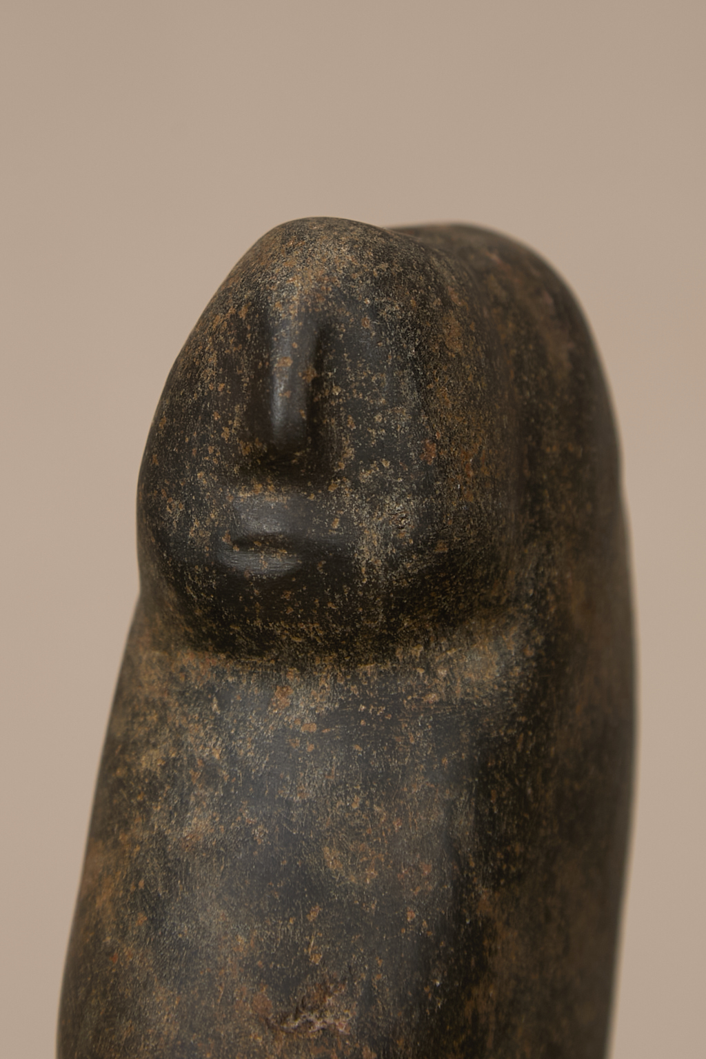 Mapuche, Chili