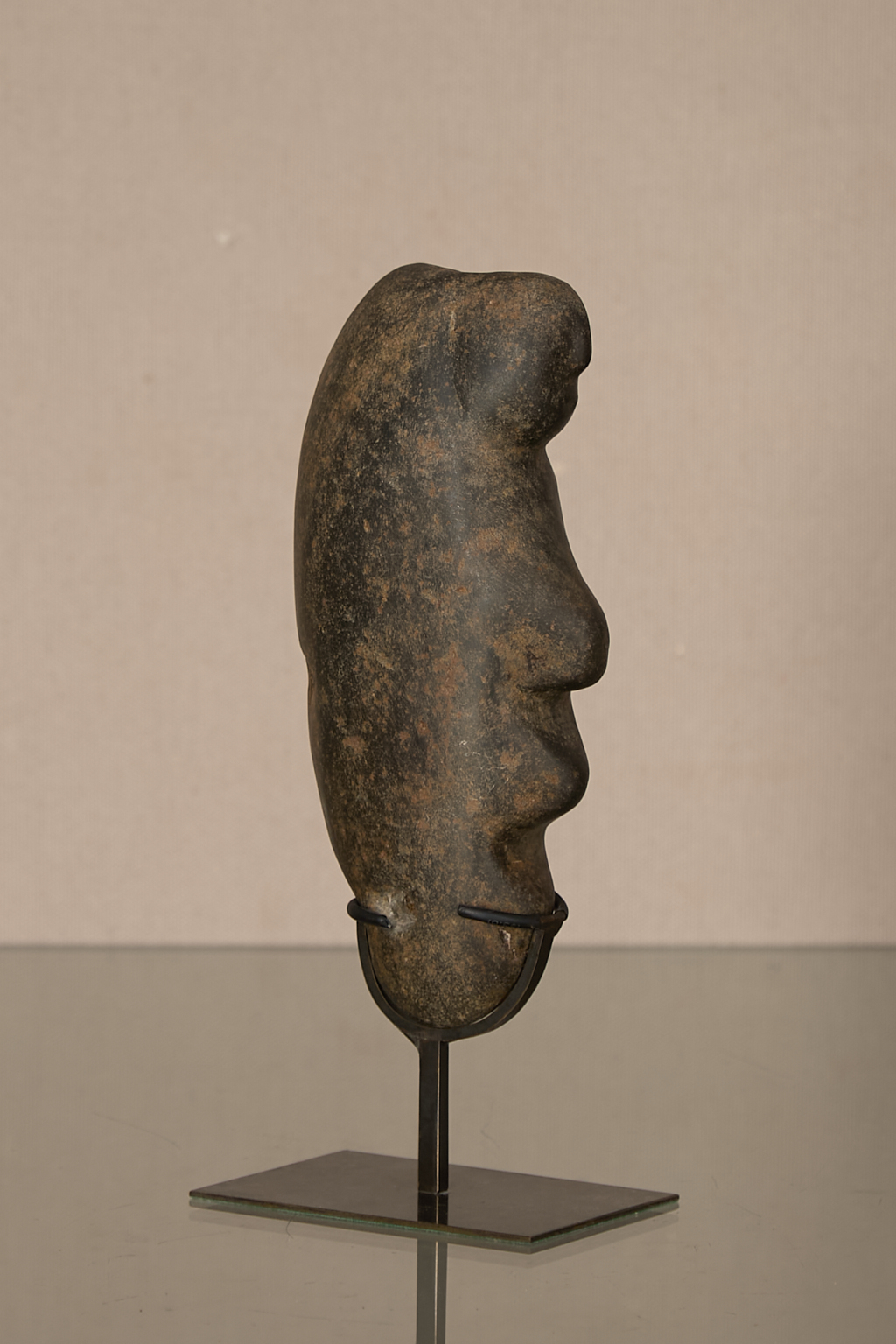 Mapuche, Chili