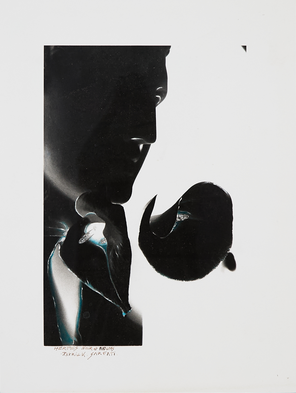 Hermès noir et arums