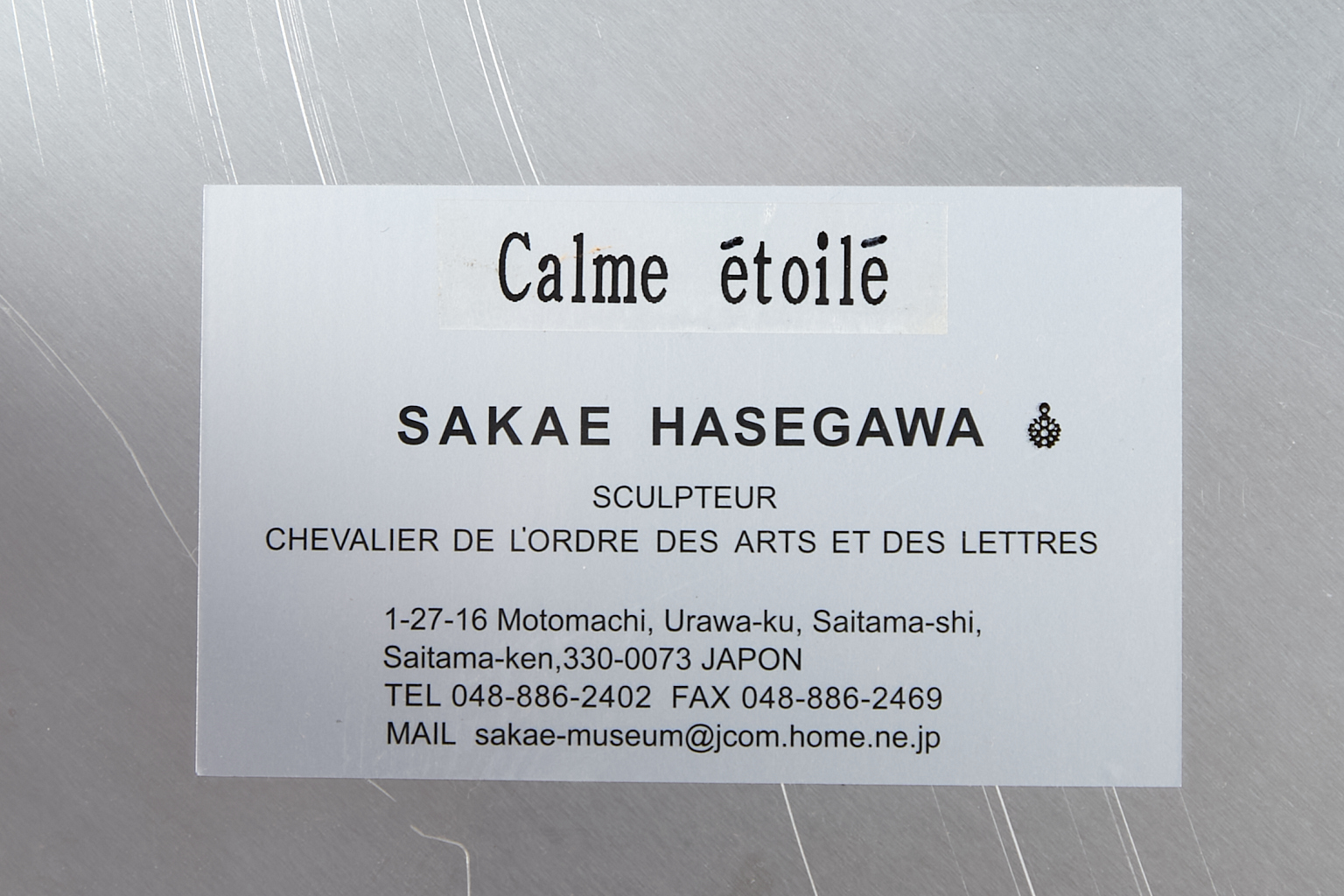 Sakae Hasegawa (XXe-XXIe siècle)