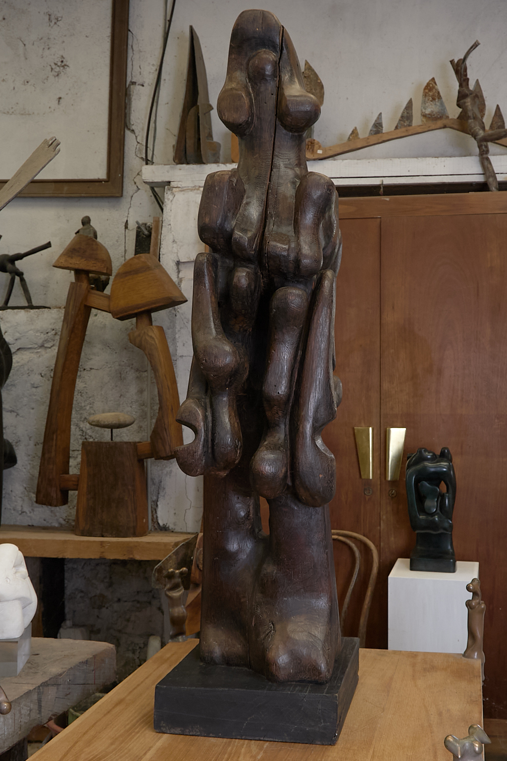 Le Chaman, homme encombré ou Hominidé