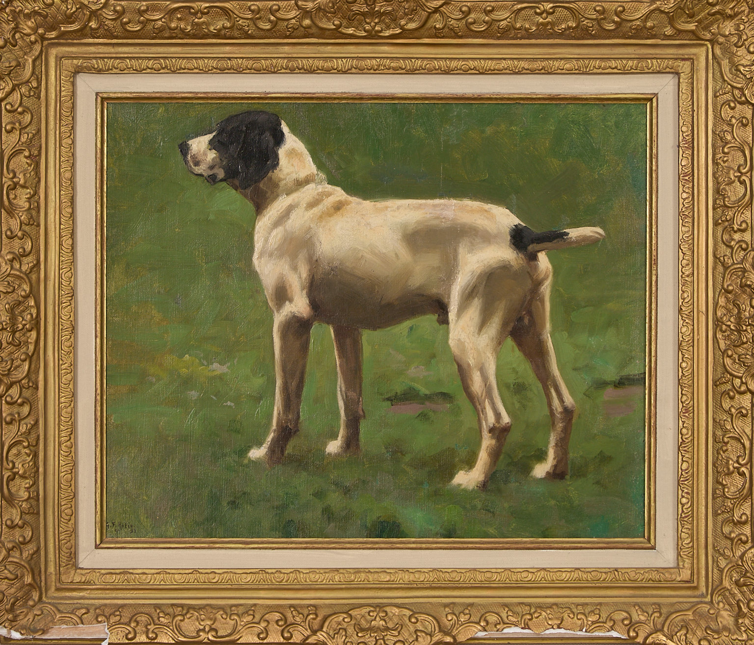 Chien de chasse