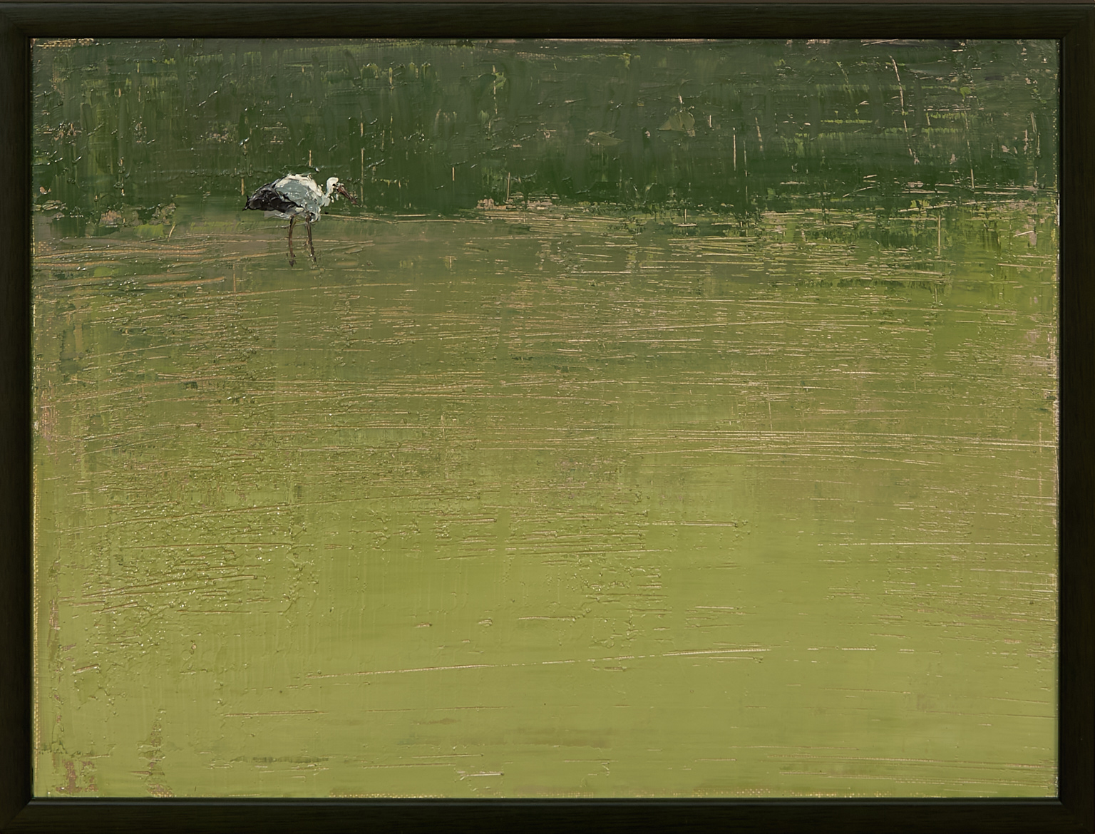 Cigogne II