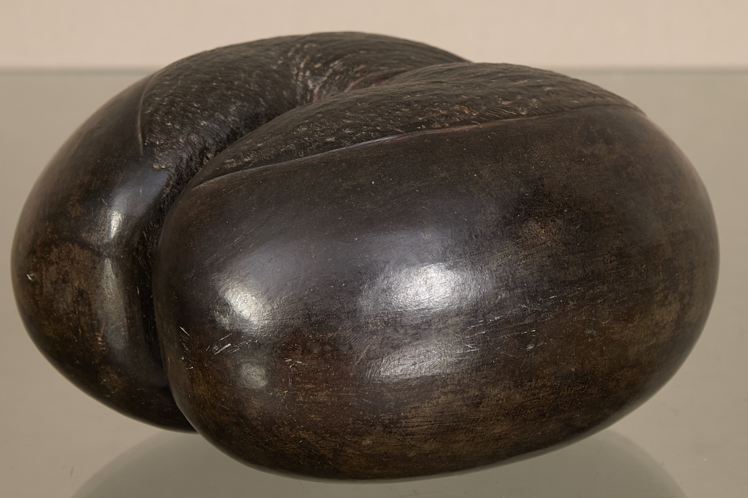 Cocofesse