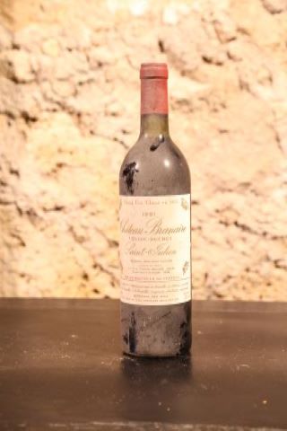 12 bouteilles 1981