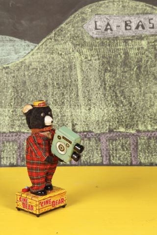 Camera Shooting Bear