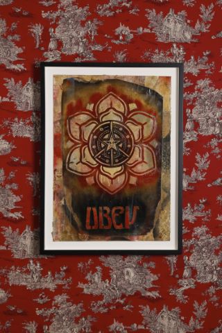 Shepard Fairey (né en 1970) Lotus Star Retired...