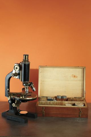 Microscope