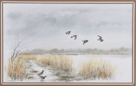 Paysage à l’étang