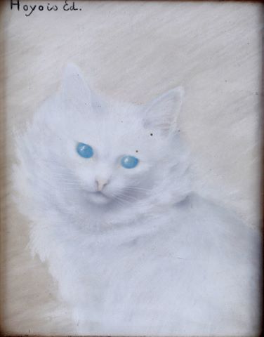 Chat