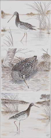 Oiseaux