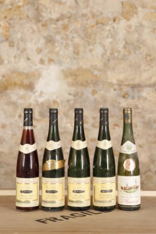 Ensemble de 5 bouteilles :