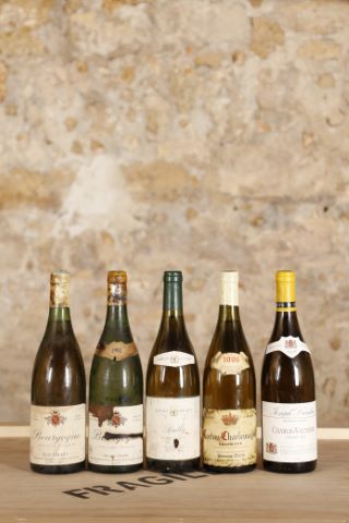 Ensemble de 5 bouteilles :