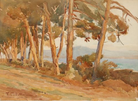 Paysage méditerranéen