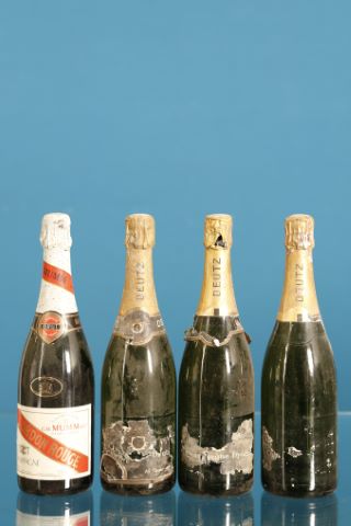 Ensemble de 4 bouteilles
