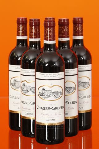 Château Chasse-Spleen, Moulis 6 bouteilles 2008...