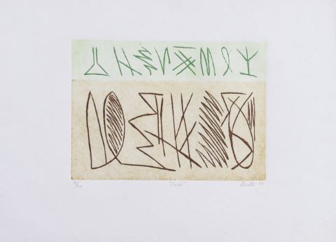 Riccardo Licata (1929-2014) Oasi