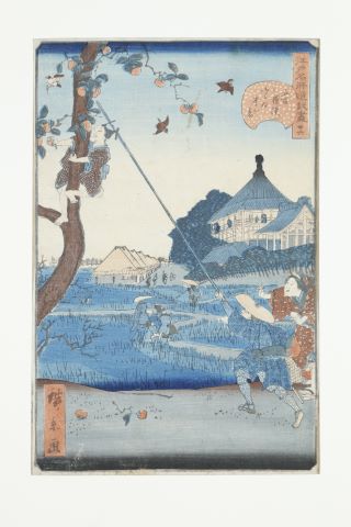 Les Cueilleurs de pêches