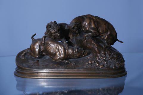 Trois chiens au terrier, chasse au lapin