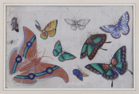Papillons