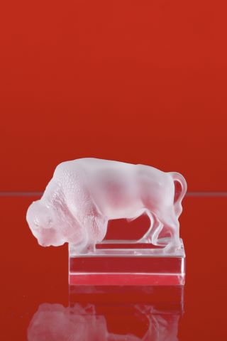 Bison
