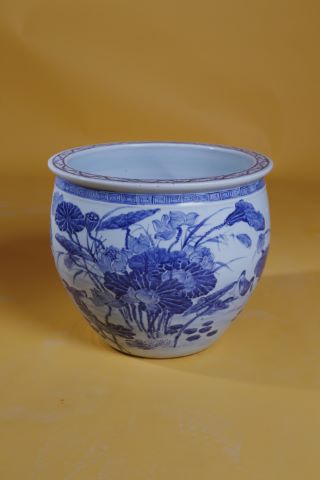 Vasque à poissons