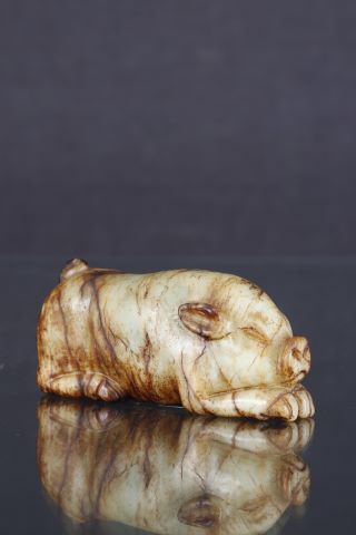 Chine Tigre