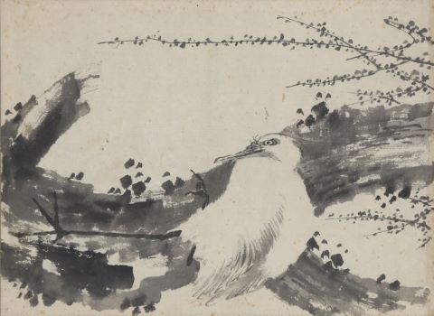 Oiseau