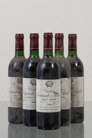 Château Sociando-Mallet, Haut-Médoc 5 bouteilles