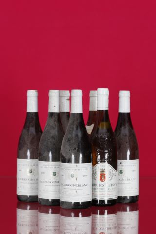 7 bouteilles de vin blanc