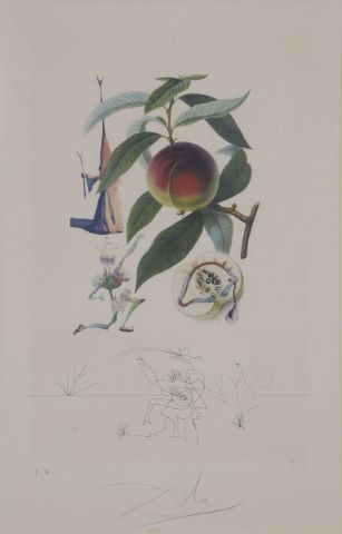 Pécher Pénitent - de la série Flordali, les fruits