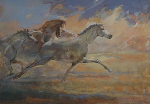 Chevaux sauvages
